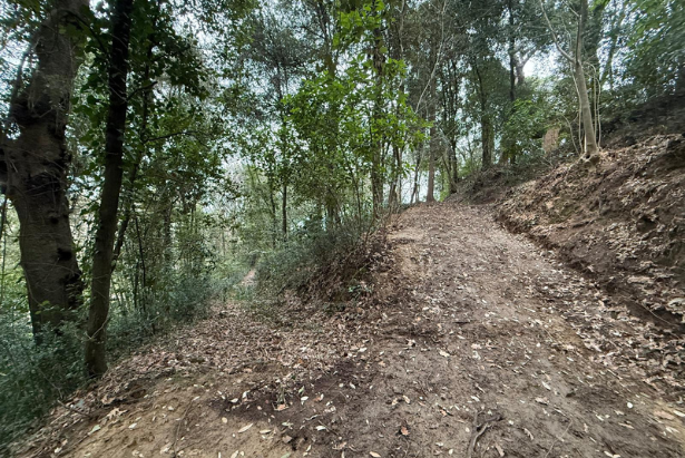 Uno dei sentieri ripuliti nel bosco dei frati Cappuccini