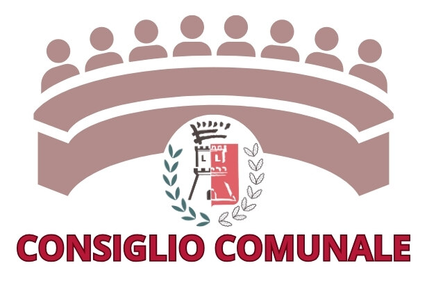 consiglio comunale
