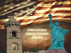“Peccioli 2023, da Venezia a New York”: aperto fino al 10 marzo il bando pubblico per far volare i cittadini pecciolesi nella Grande Mela