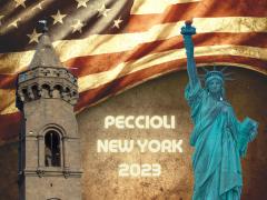 “Peccioli 2023, da Venezia a New York”: aperto fino al 10 marzo il bando pubblico per far volare i cittadini pecciolesi nella Grande Mela
