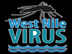 West Nile scheda informativa regionale