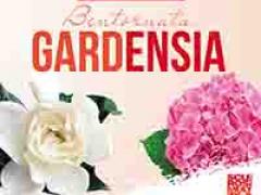 Bentornata Gardensia a Peccioli in Piazza del Popolo il 4,5 e 8 marzo 2023